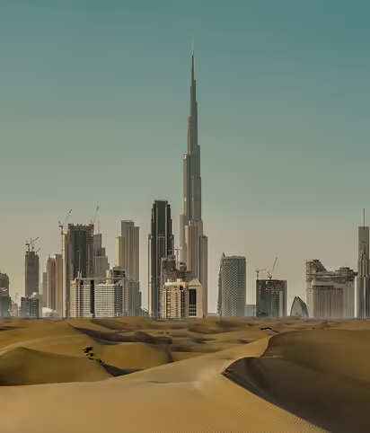 How A Junk Removal Service Can Be Useful For You In The Future